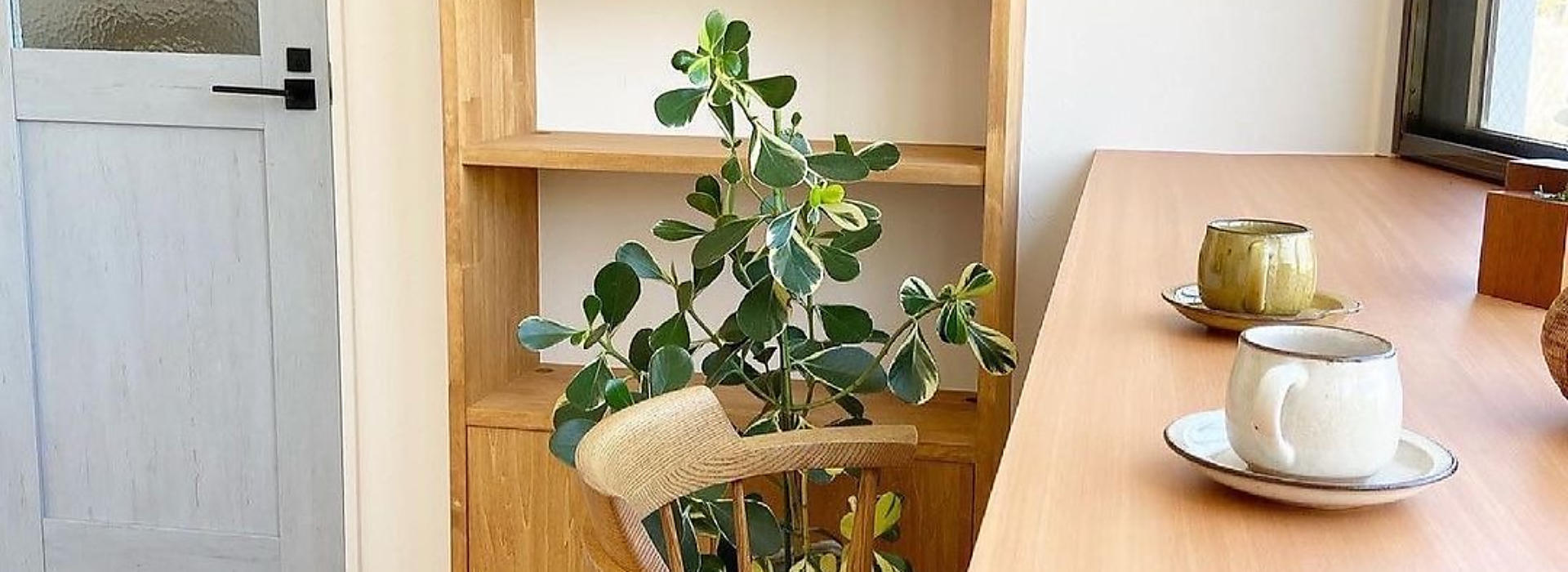 サブバナ―背景画像